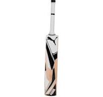 Puma Future JNR 2.1 English Willow Junior Cricket Bat for Young Athletes