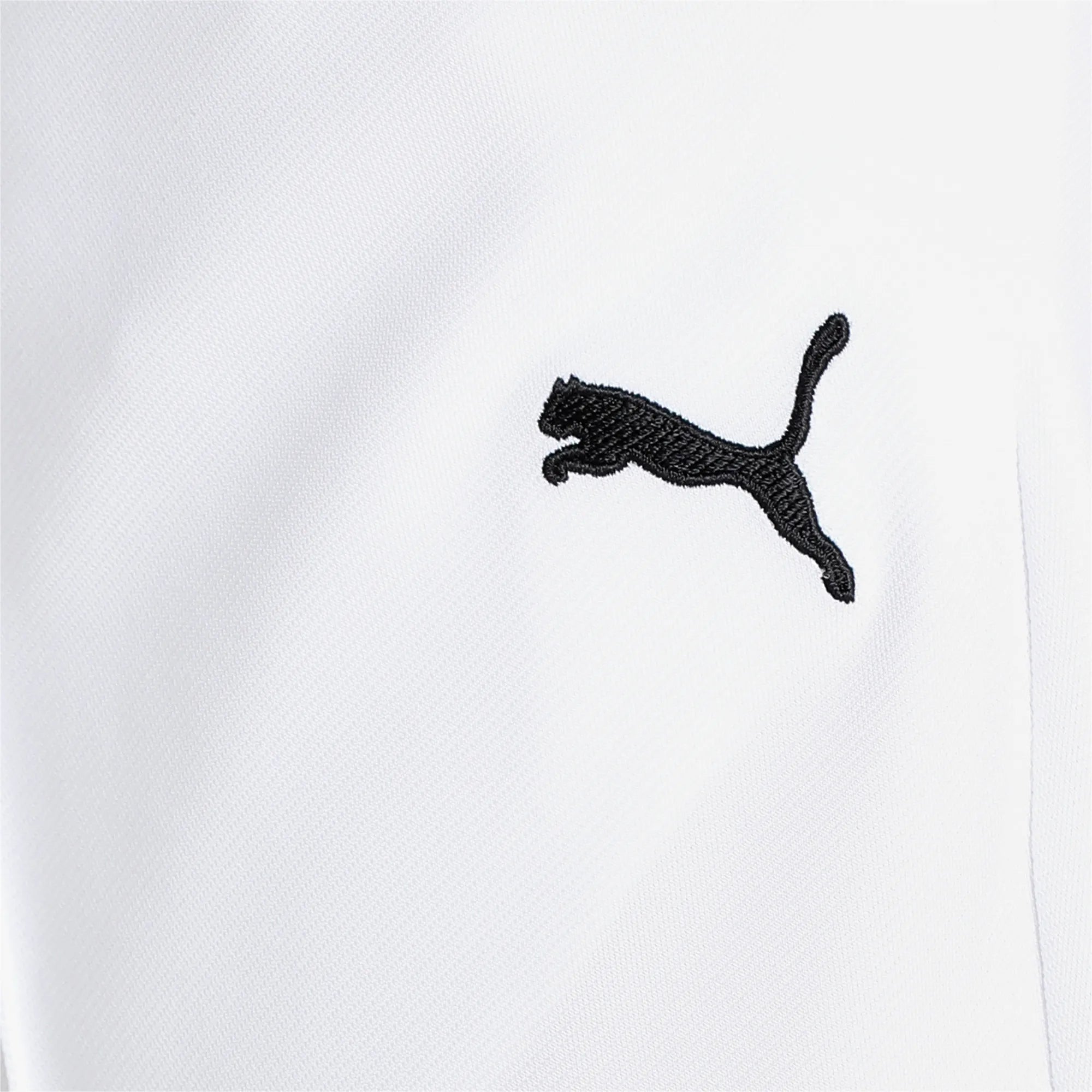 Puma Men's Cricket Team Knit Pants White - Performance Athletic Training Bottoms