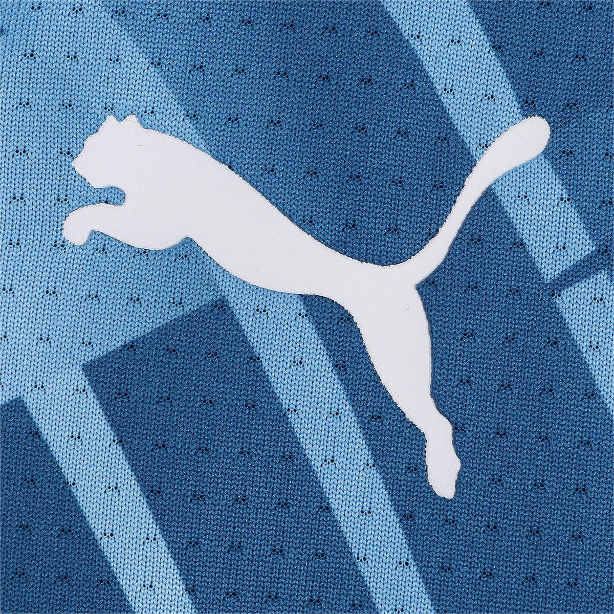 Puma Manchester City Prematch Jersey 2023/24 Men&#39;s Football Fan Apparel